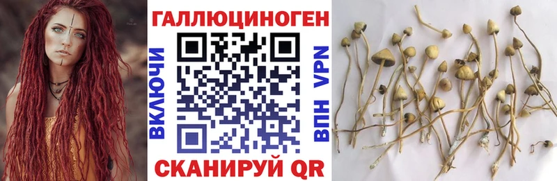 Галлюциногенные грибы мицелий  Сергач 